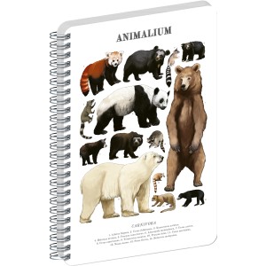 Spir�los Notesz Animalium ? Bears, blank, A5